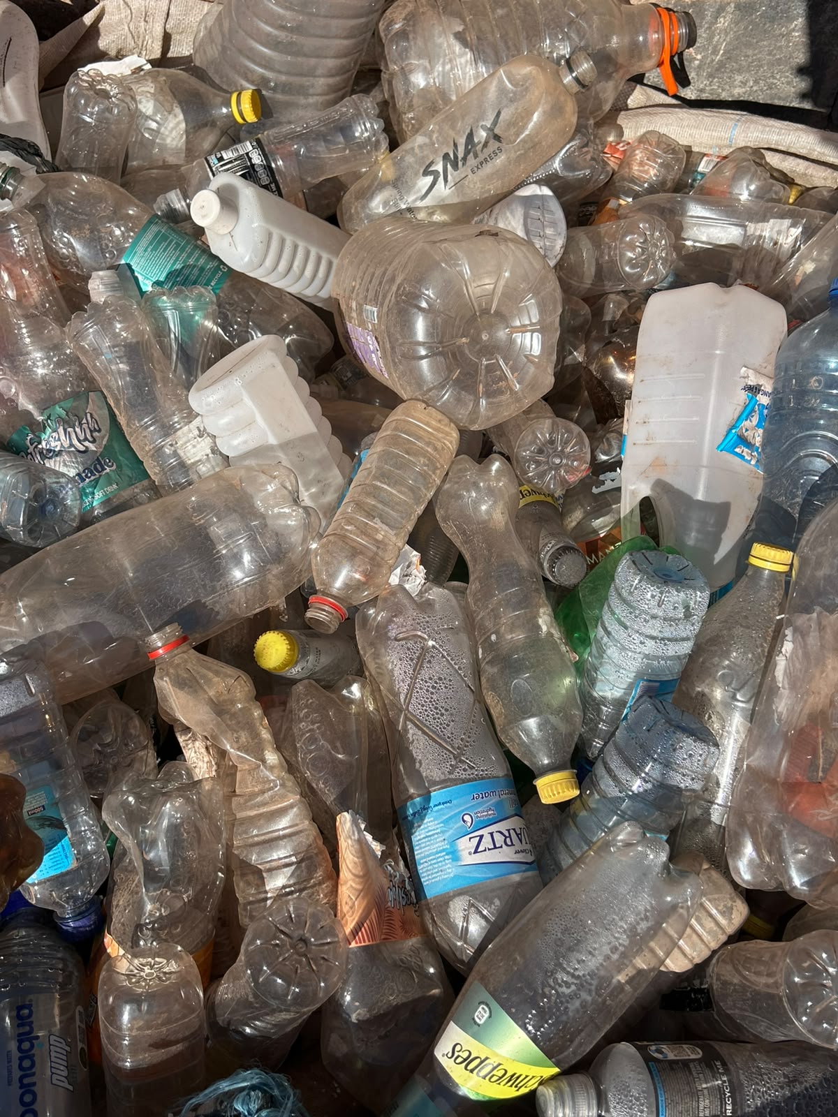 Plastic bottles sorted for recycling